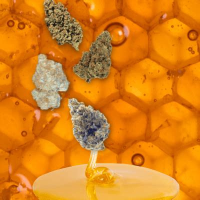 5 Cannabis Strains for an Elevated Mood | The Honeycomb Farm