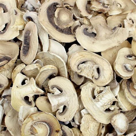 Dried Mushroom Snack | Sliced Dehydrated Mushrooms