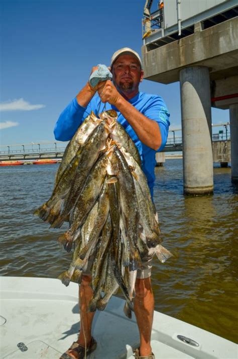 Louisiana Sportsman