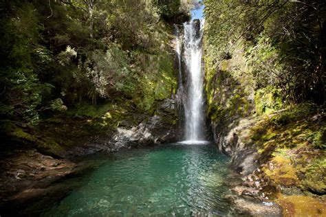 Hiking in Kahurangi National Park - Kated