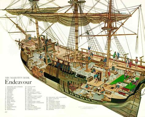 HMS Endeavor cutaway | Model sailing ships, Sailing ship model, Sailing ships