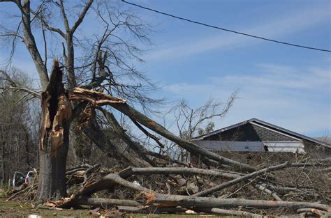 (Update) NWS: EF1 tornado with 105 mph winds caused damage in White ...