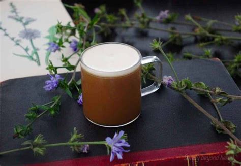 How to make chicory coffee from scratch - SimplyBeyondHerbs