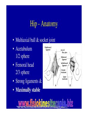 Fillable Online Hip - Anatomy Fax Email Print - pdfFiller