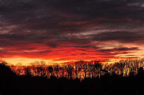 Tree line Sunset 3 Photograph by Peter McIntosh | Fine Art America