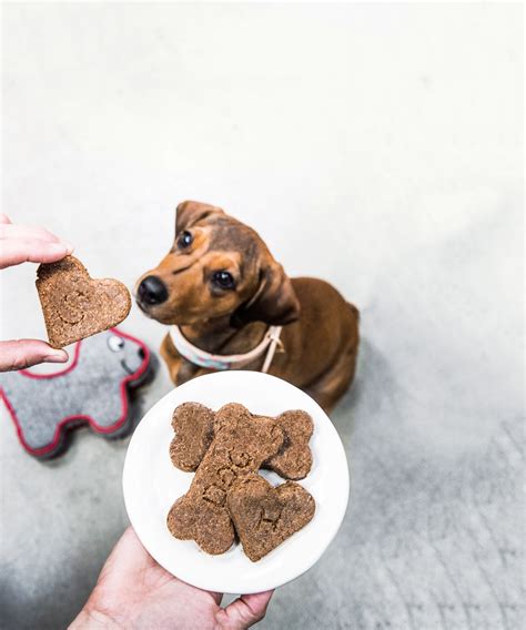 Homemade Dog Snacks -Sunset Magazine