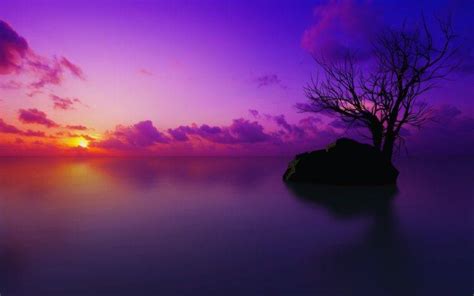 sunset, Beach Wallpapers HD / Desktop and Mobile Backgrounds