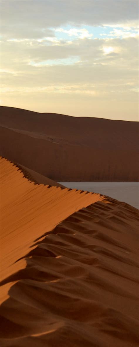 {Sossusvlei}: Sossus Dune Lodge + Sunrise on the Dunes in 2021 ...