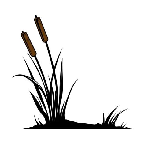 Cattail Plant Stock Photos, Pictures & Royalty-Free Images - iStock