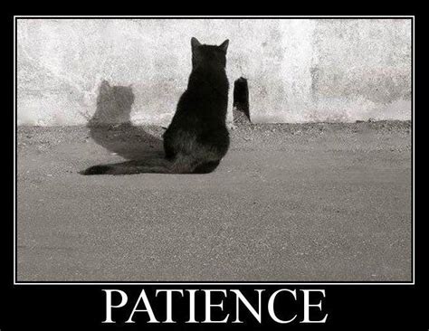 Patience Funny Quotes And Sayings. QuotesGram