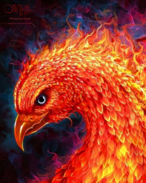 Phoenix Head by amorphisss on DeviantArt