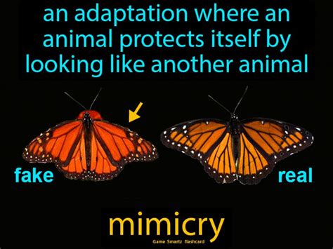 Mimicry Flashcard - 4th Grade Science | Mimicry, Animal science, Animal adaptations