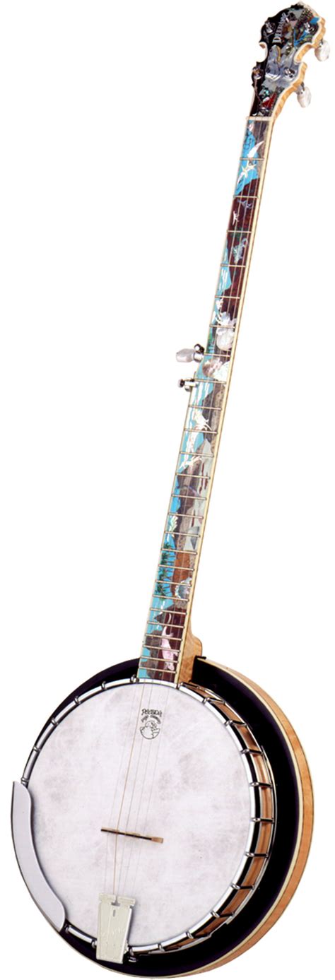 Deering Banjosaurus Longneck | Order through Banjo.com