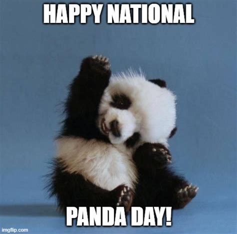 Happy Panda Day everyone! - Imgflip