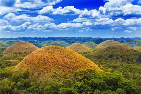 Bohol Full-Day Countryside Sightseeing | With Buffet Lunch