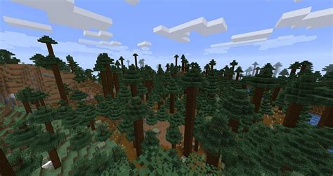 Old Growth Pine Taiga in Minecraft