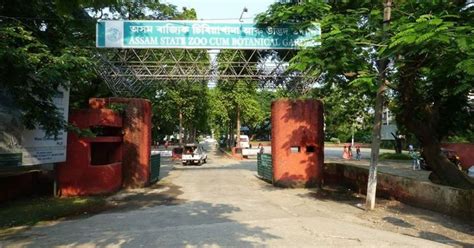 Guwahati: State Zoo Preparing To Shift Animals To Ambani-Owned Zoo