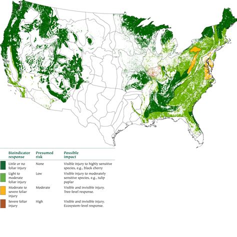 Ozone Bioindicator Plants — Eastern Forest Environmental Threat ...