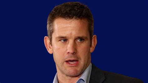 "They Said I Was a Member of the Devil’s Army": Kinzinger Confirms Vote ...