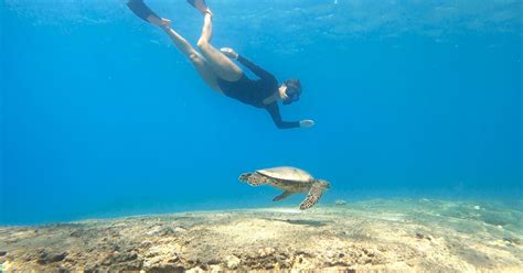 San Juan: Swimming and Snorkeling Tour with Turtles | GetYourGuide