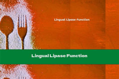 Lingual Lipase Function - This Nutrition