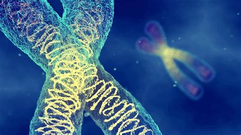 New CRISPR Method Takes on Duchenne Muscular Dystrophy