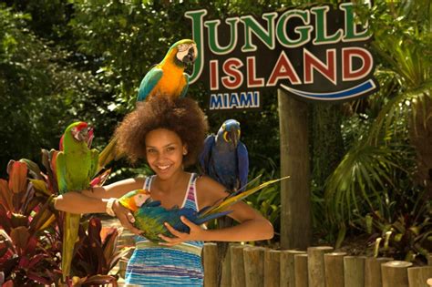 Jungle Island Miami: Interactive Exhibits, Fun Shows and Animals Galore! #travel - Whispered ...