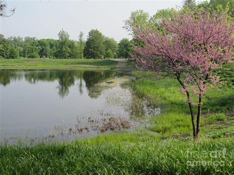 Meadow Lake 3 Photograph by Terry Hunt - Fine Art America