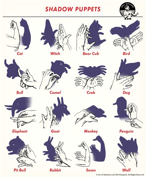 How to Make 16 Shadow Puppets | The Art of Manliness