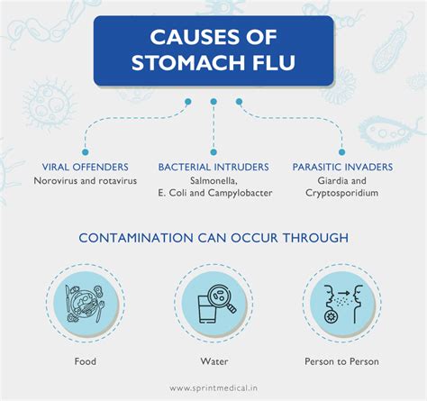 A Cool Guide | What are the Causes of Stomach Flu? Gastroenteritis ...