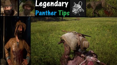 RDR2 Legendary Panther Tips - YouTube