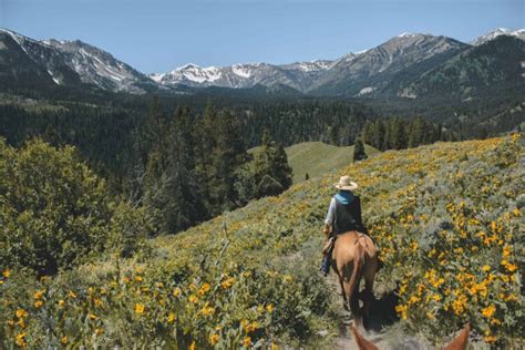 Grand Teton RV Camping: A Complete Guide - Let's RV