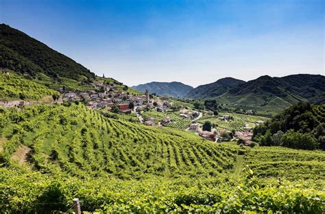 Wine tour ideas: Six of the best for 2020 - Decanter