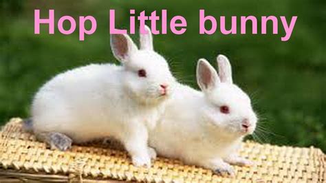 Hop Little Bunny Poem - Kids Animation Stories - YouTube