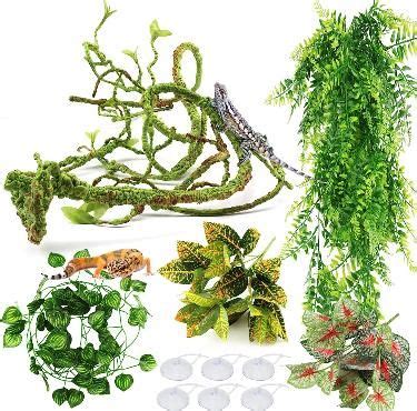 Reptile plants – Artofit