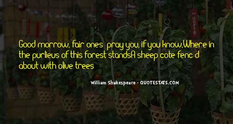 Top 32 Olive Tree Quotes: Famous Quotes & Sayings About Olive Tree