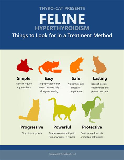 Hyperthyroidism in Cats Infographics | Feline Hyperthyroidism 101