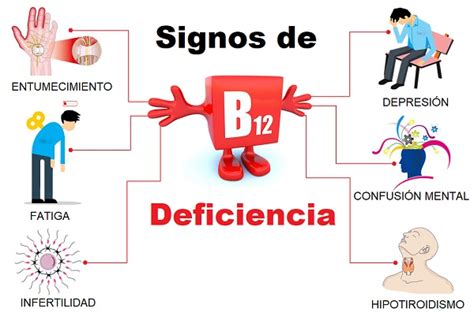 Relación entre un déficit de Vitamina B12 y la anemia