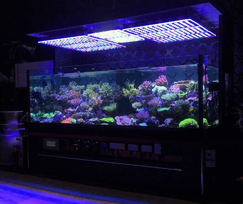 Aquarium LED Lighting Photos best Reef Aquarium LED lighting gallery |Orphek