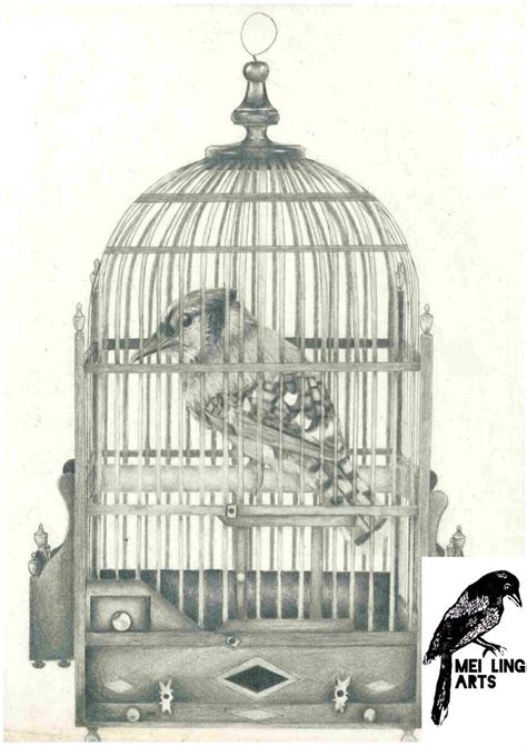 Caged Bird Drawing at PaintingValley.com | Explore collection of Caged Bird Drawing