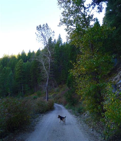 Idaho Heaven: Camping on the Salmon River – the usual bliss