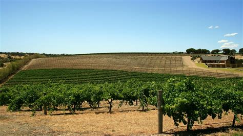 Barossa Valley Complete Travel Guide 2024 | Polarsteps Guides