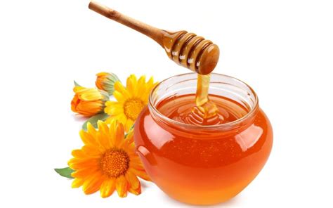 Honey For Babies - Yes or No? | GetDoc Says