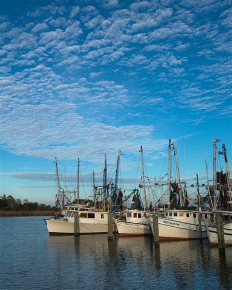 Apalachicola Florida - Things To Do & Attractions