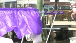 Somer's Cove Marina goes purple to support "Somerset Rains Purple ...