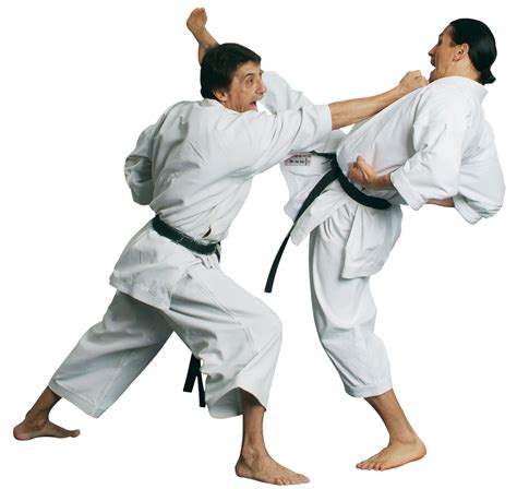 Karate PNG Pic | PNG All