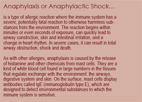 Can A Dog Die From Anaphylactic Shock