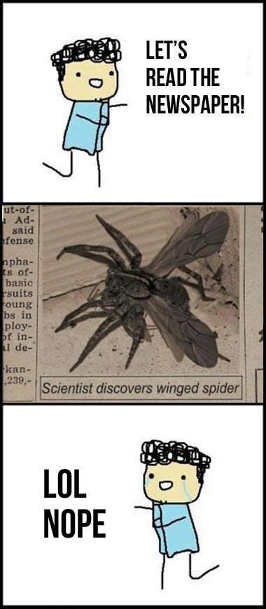 Flying spiders This better not be real! | Lol, Funny, Funny pictures