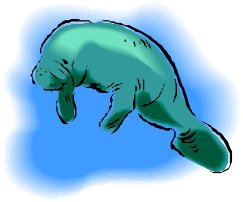 Free Manatee Clipart