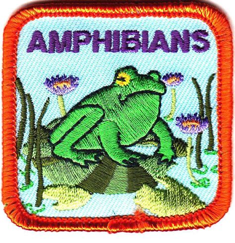 "AMPHIBIANS" w/FROG - Iron On Embroidered Applique Patch/Frogs, Words # ...